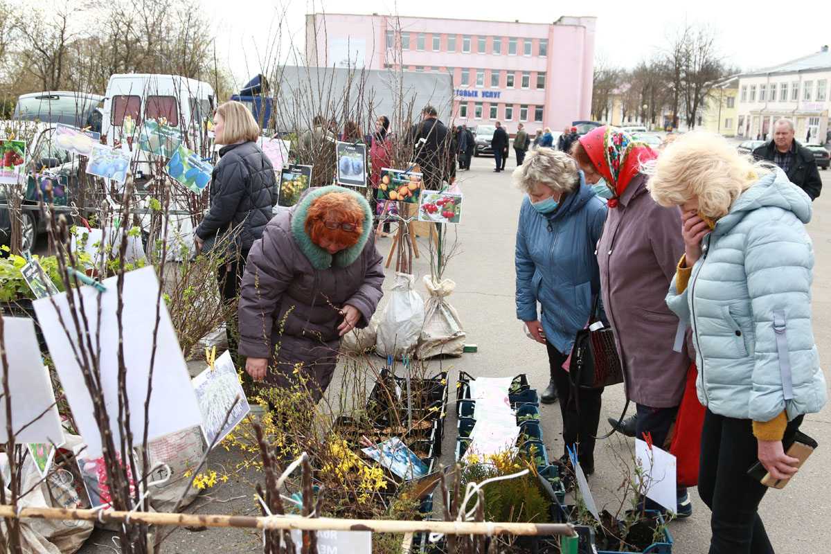 1 мая на городской площади Чаус прошла сельскохозяйственная ярмарка