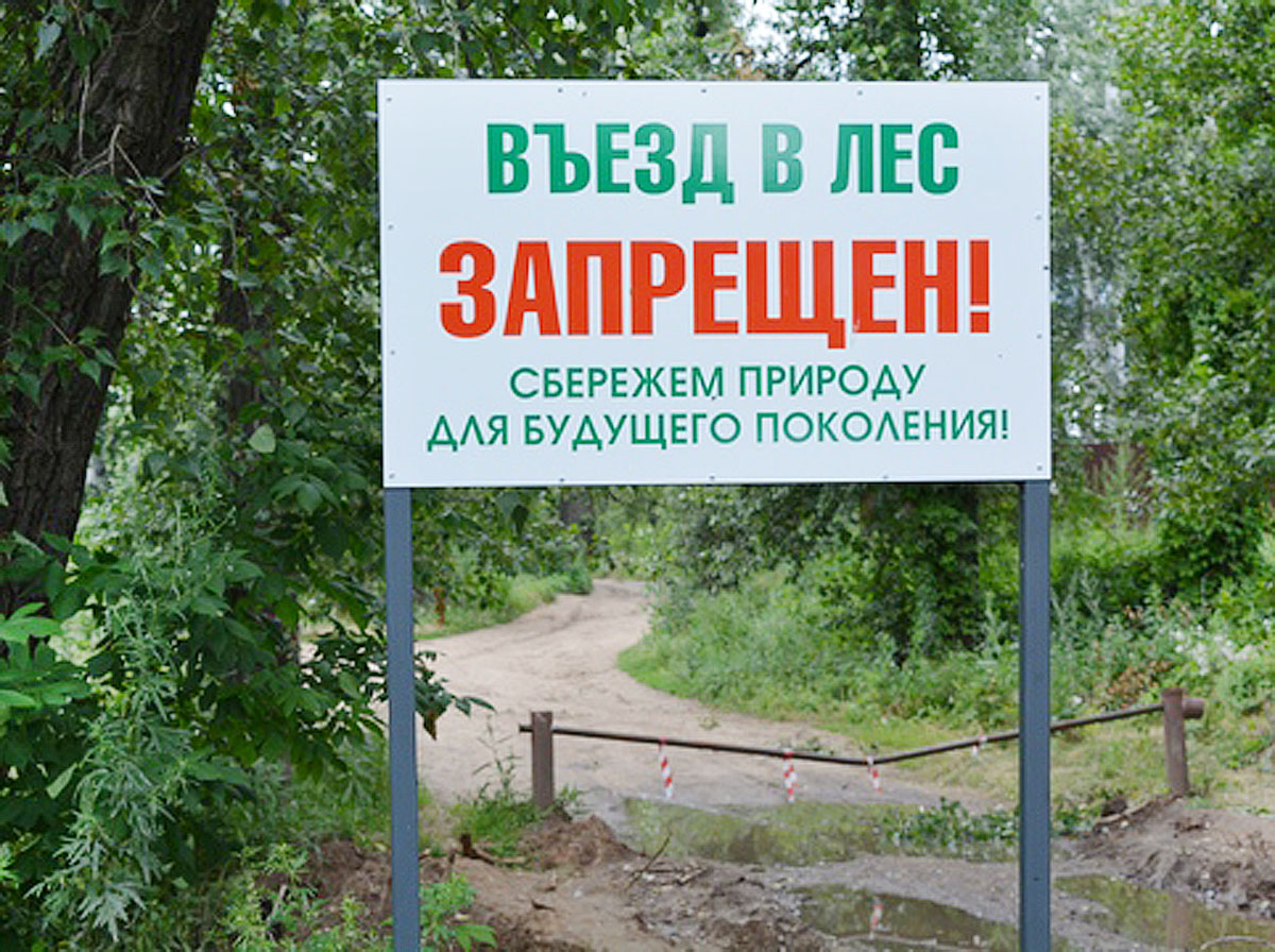 Пребывание граждан на территории заповедника. Ограничение пребывания граждан в лесах. Запрет на посещение лесов. Ограничение посещения лесов.