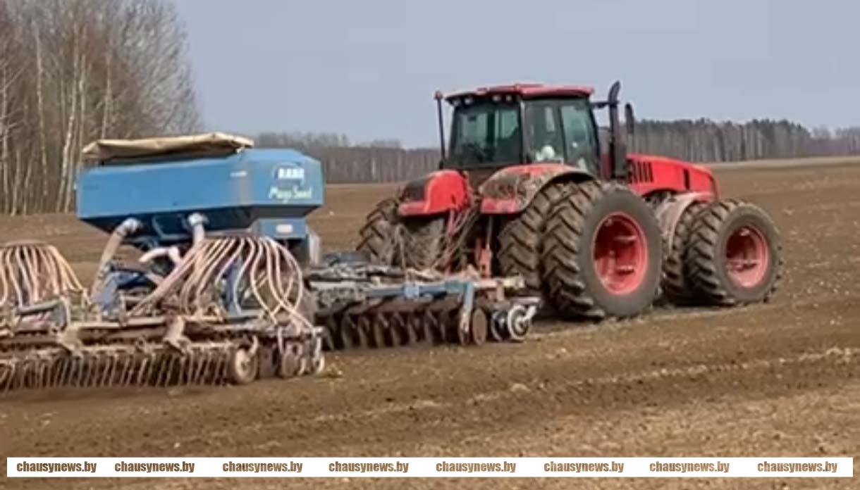 Рассказываем, как ведутся полевые работы в ОАО «Рудея Гранд» Чаусского района