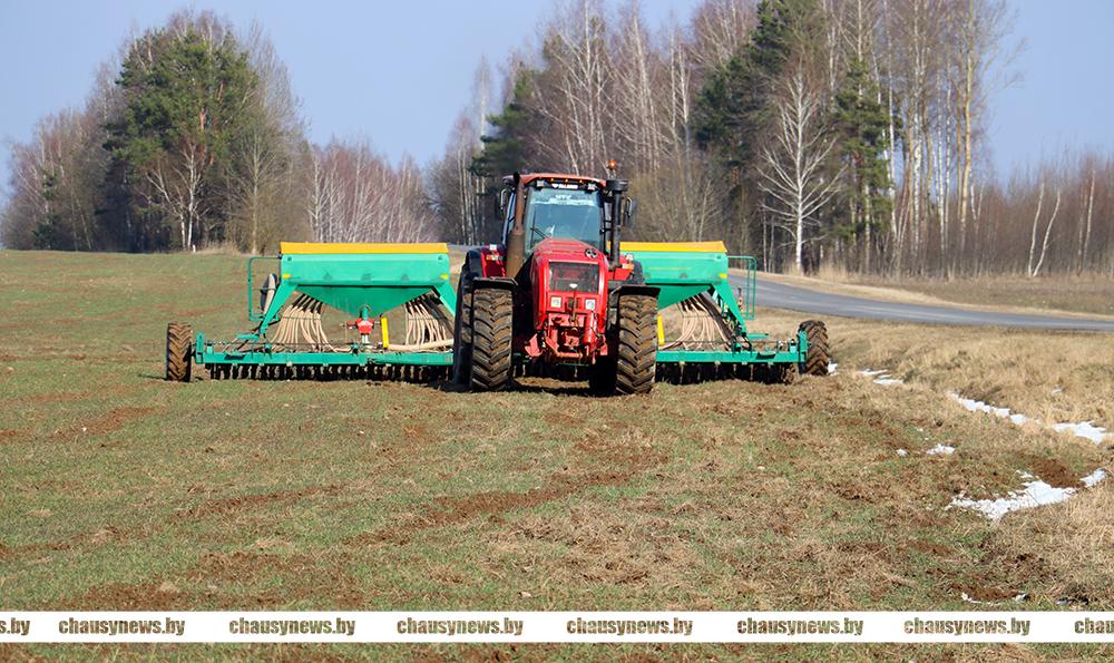 Узнали имена лучших на весенне-полевых работах в Чаусском районе