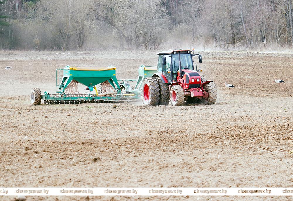 Рассказываем, кто вошел в число лучших на весенних полевых работах в Чаусском районе