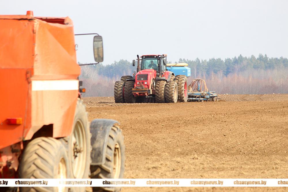 Лучшие на весенних полевых работах в Чаусском районе