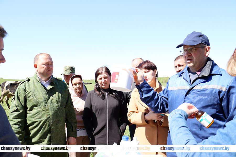 Как эффективно организовать пастьбу КРС, обсудили в Чаусах