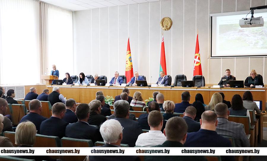 Стало известно, сколько кустарников, деревьев и цветов планируется высадить в Чаусском районе. Цифра может вырасти