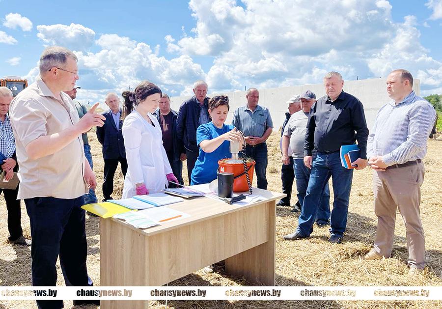 Районный семинар по организации работ по кормозаготовке прошел в Чаусах