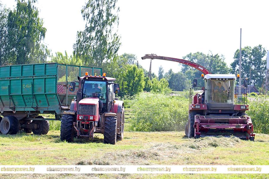 Рассказываем, кто лучший на заготовке кормов в Чаусском районе