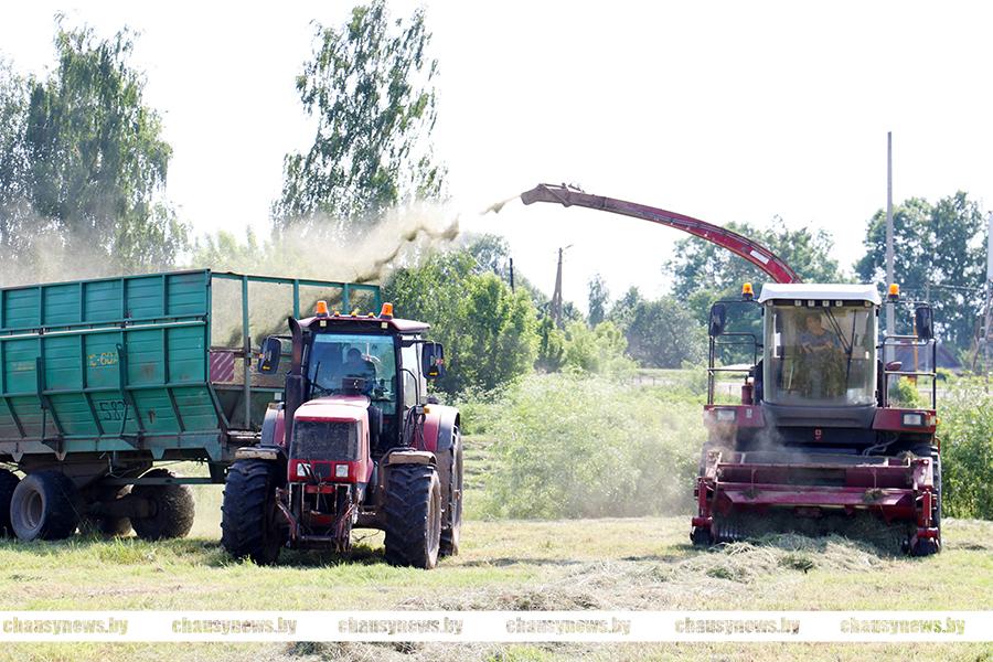 Аграрии Чаусского района приближаются к экватору заготовки травянистых кормов