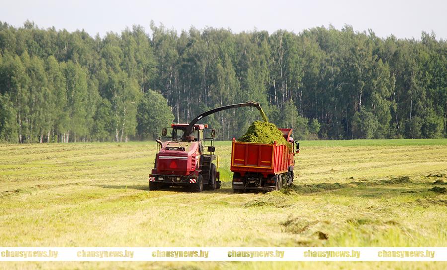 Рассказываем, кто лучший на заготовке кормов в Чаусском районе