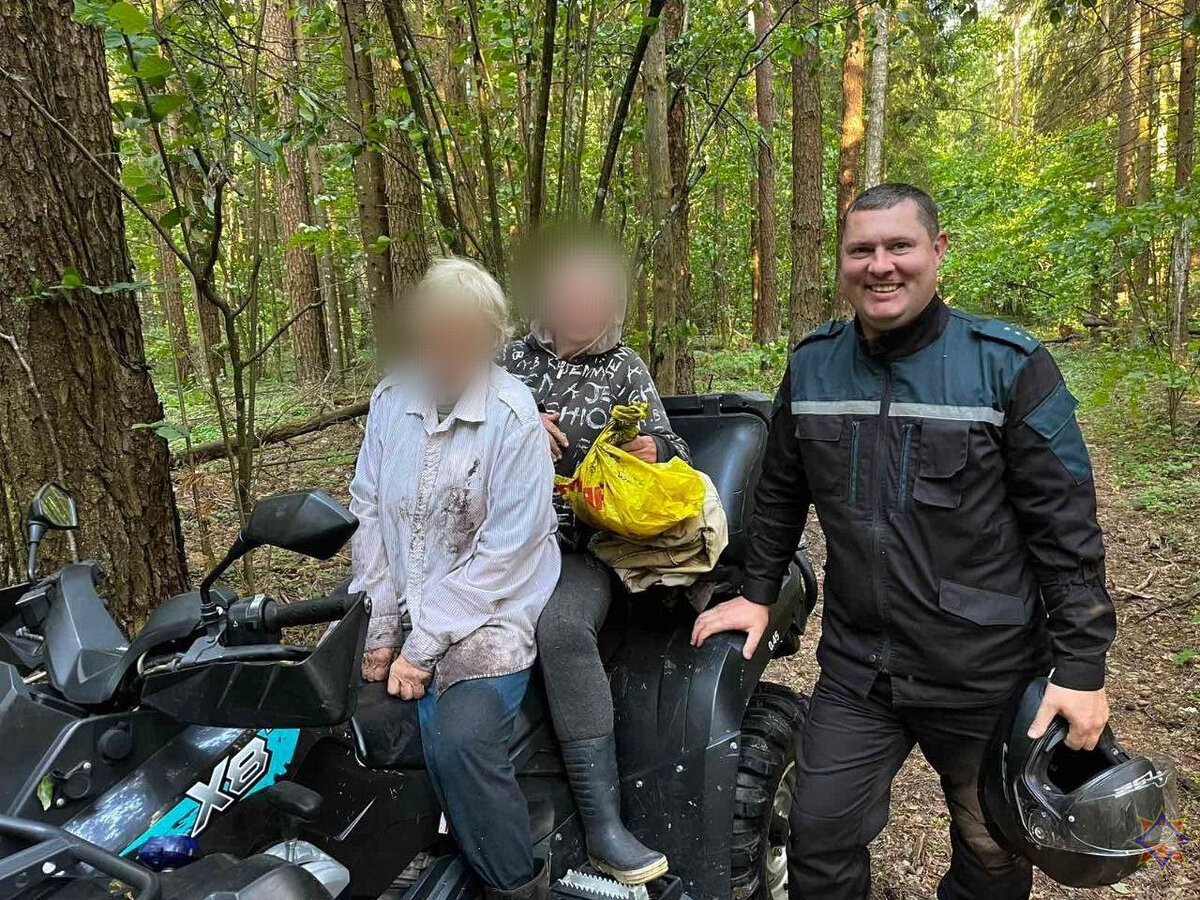 В лесах Могилевщины потерялось пять грибников. Их нашли?