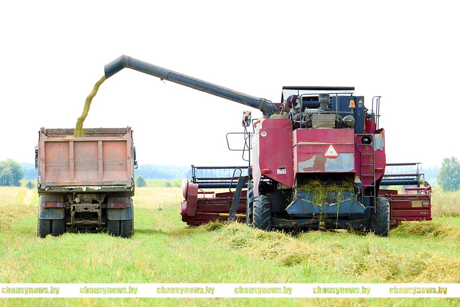 В ОАО «Мирный Агро» полным ходом идёт жатва