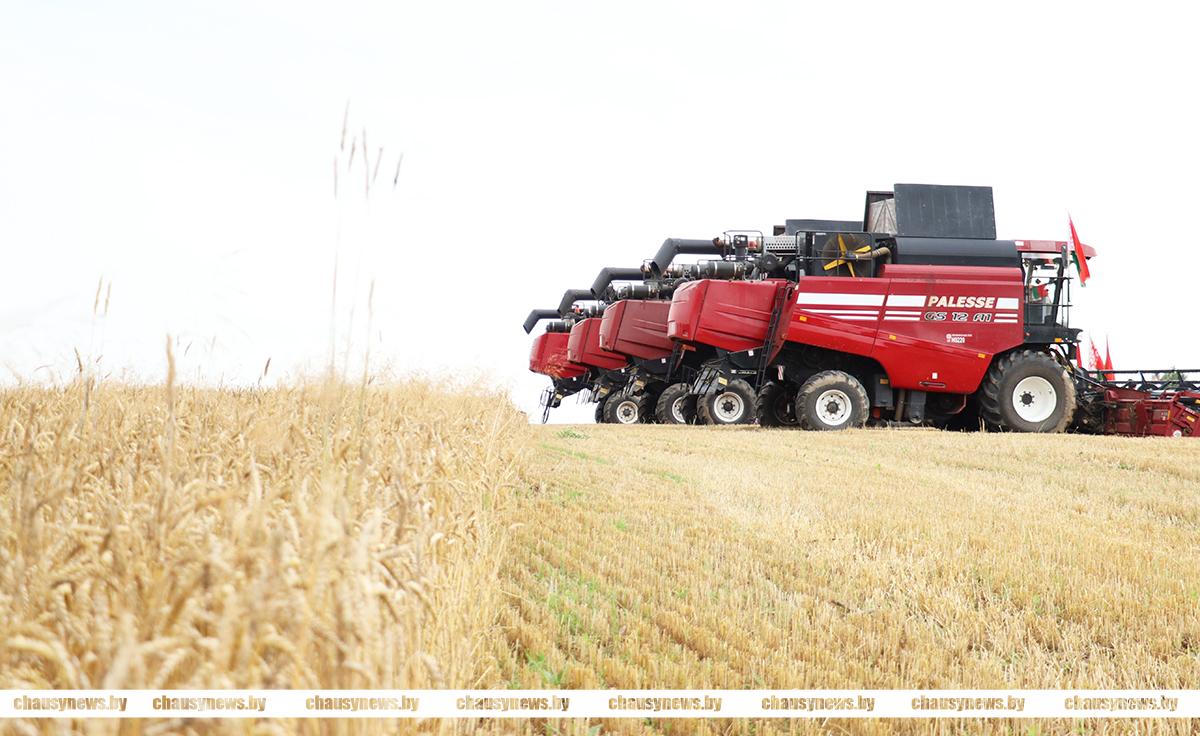 Стали известны имена лучших на полевых работах в Чаусском районе