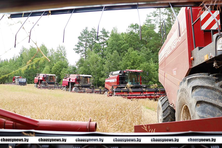 Как идёт уборочная кампания в ОАО «Рудея Гранд»?