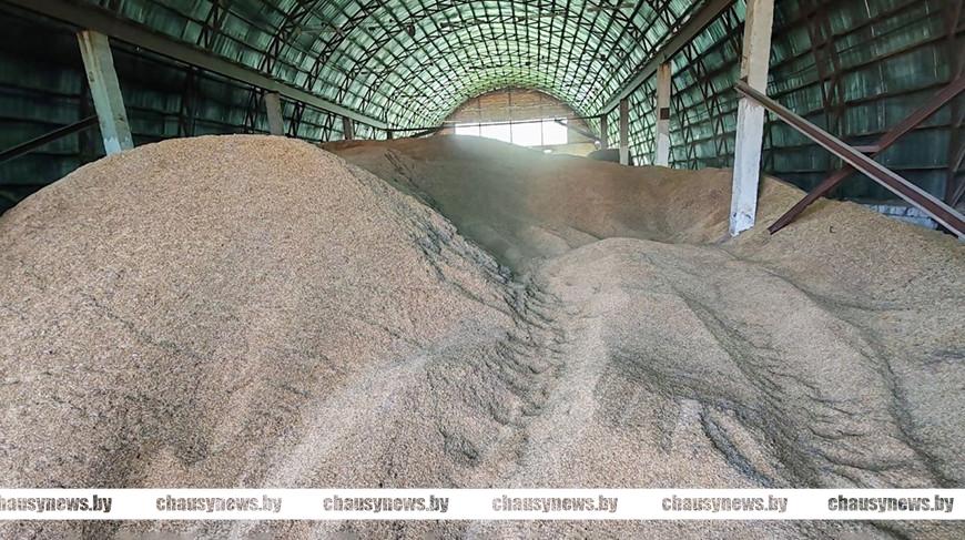 КГК предотвратил порчу почти 500 тонн зерна в одном из районов Могилевской области