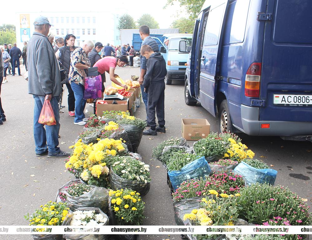 27 сентября в Чаусах пройдет сельскохозяйственная ярмарка «Золотая осень»