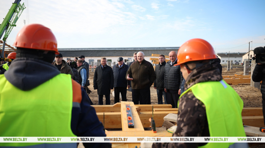 Образец для Полесья. Лукашенко представили проект опытного строительства МТК из деревянных конструкций
