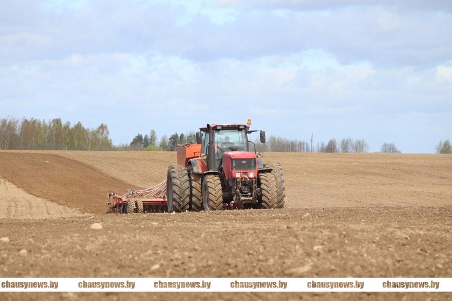 В ОАО «Мирный Агро» Чаусского района КГК Могилевской области выявили нарушения