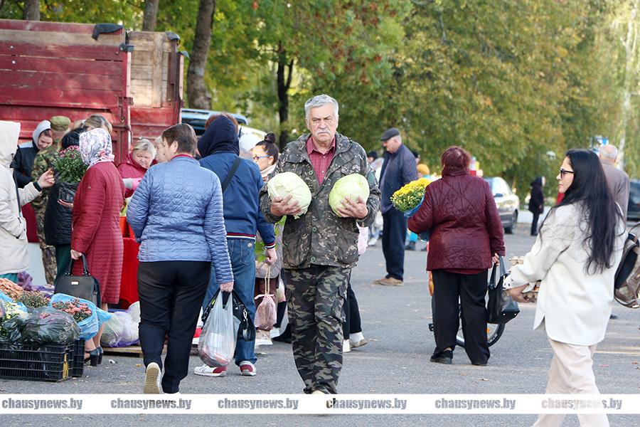 Что покупали горожане на сельскохозяйственной ярмарке в Чаусах?