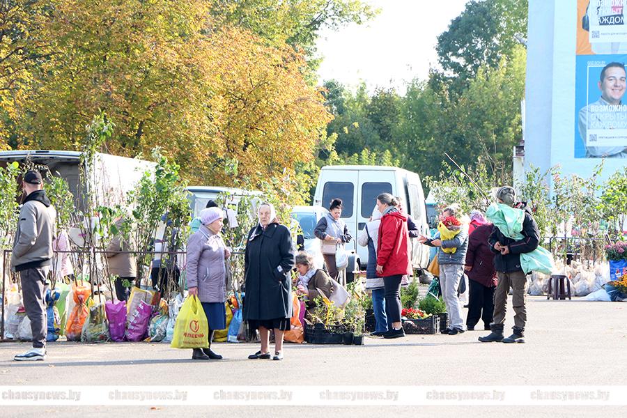 Покровская ярмарка пройдёт в Чаусах 18 октября