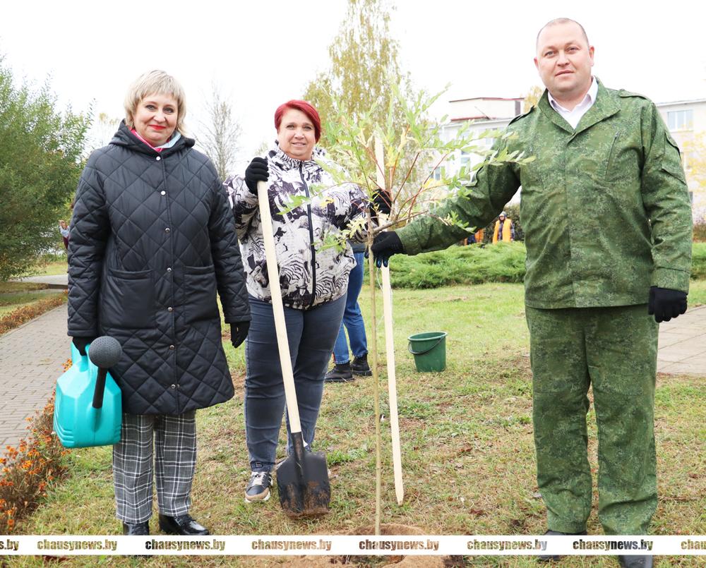 В рамках Единого дня озеленения в Чаусах высажены 150 кустарников и 120 деревьев