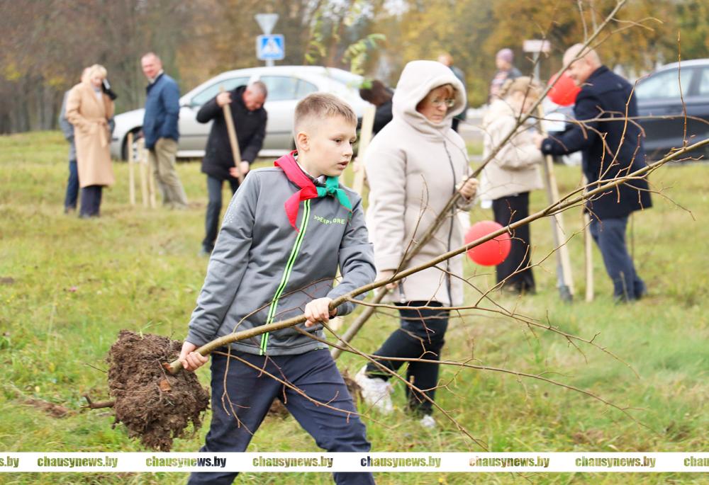 35 деревьев высажено в агрогородке Горбовичи Чаусского района в рамках акции по озеленению