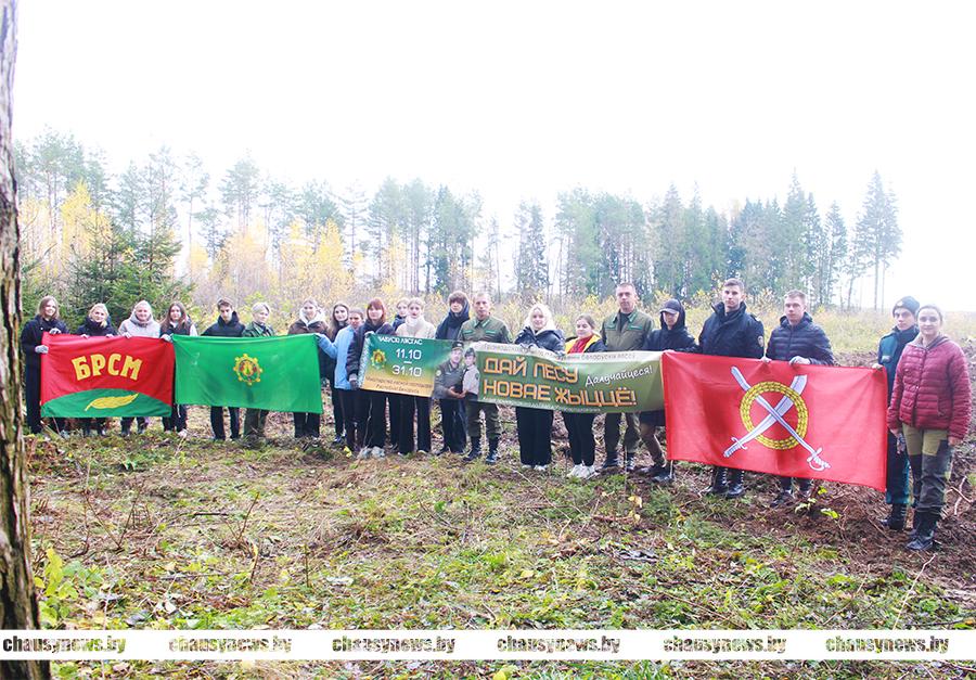 Молодые специалисты Чаусского района присоединились к акции «Дай лесу новае жыццё»