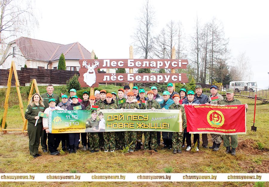 В Волковичах появился новый красивый мини-парк