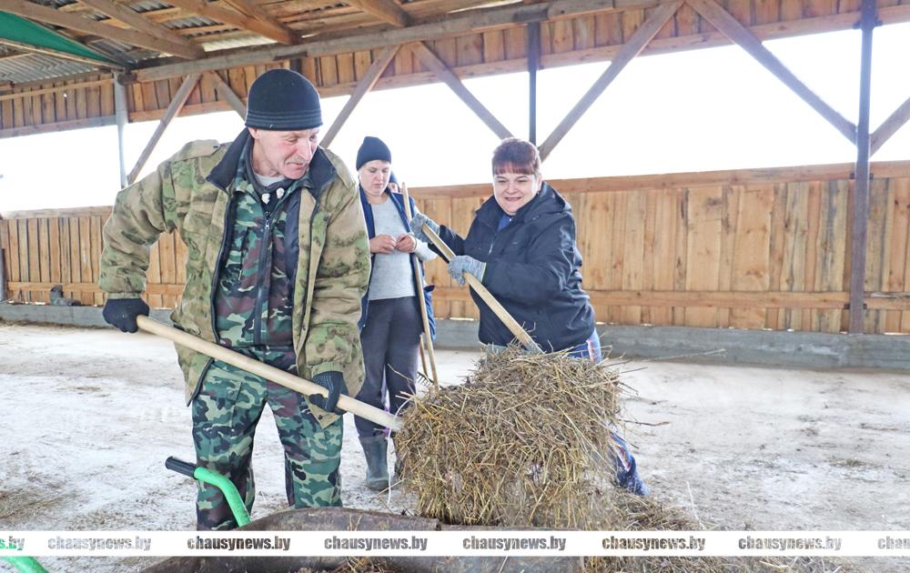 Работать вместе, а не вместо. Трудовые коллективы Чаус помогают сельхозорганизациям района