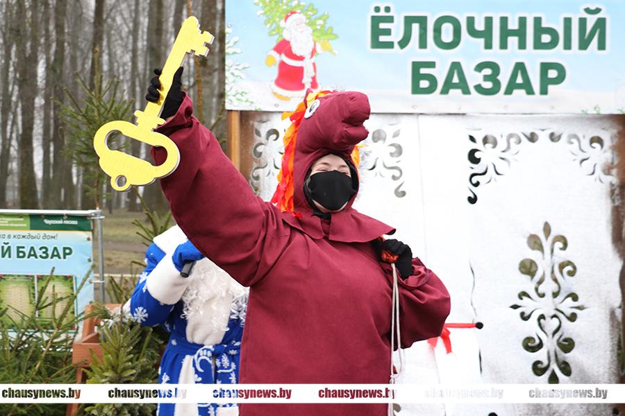 С сегодняшнего дня в Чаусах начинает работу ёлочный базар. Спешите купить новогоднюю красавицу