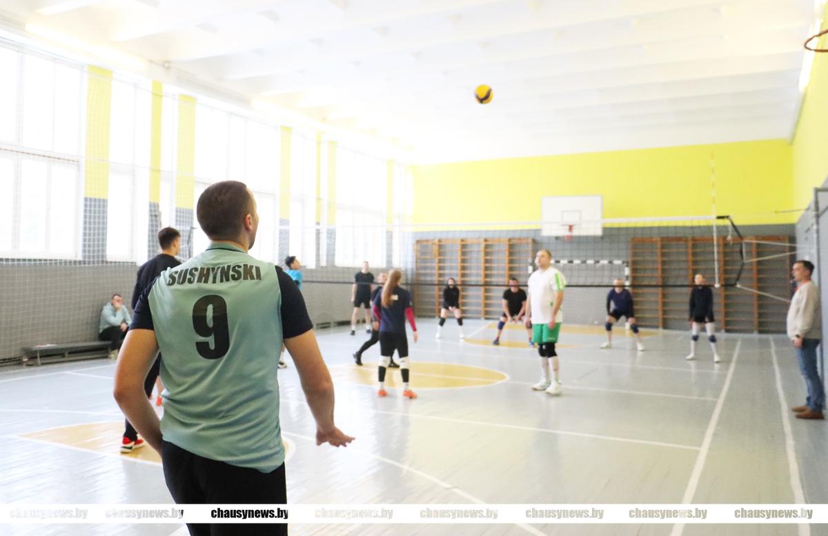 Играя — помогаем. Как в Чаусах прошёл благотворительный турнир по волейболу?