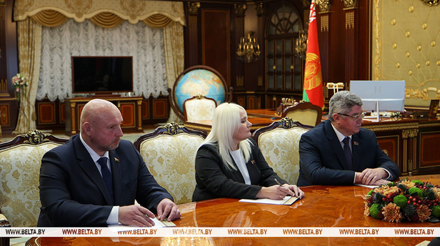 Президент согласовал кандидатуру на пост нового председателя Чаусского райисполкома