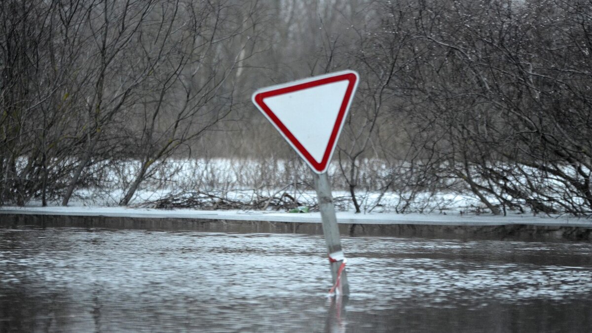 Беларуси грозит опасное половодье этой весной? Прогноз Белгидромета