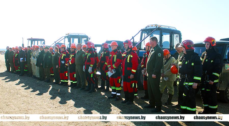В Чаусском районе проверили готовность лесной охраны к пожароопасному периоду
