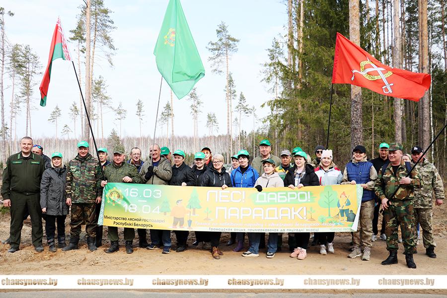 Депутатский корпус Чаусского района, трудовые коллективы и неравнодушные граждане приняли участие в посадке леса