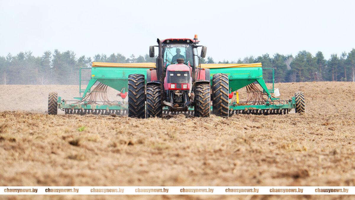 Узнали, как идут полевые работы в ОАО «Мирный Агро» Чаусского района