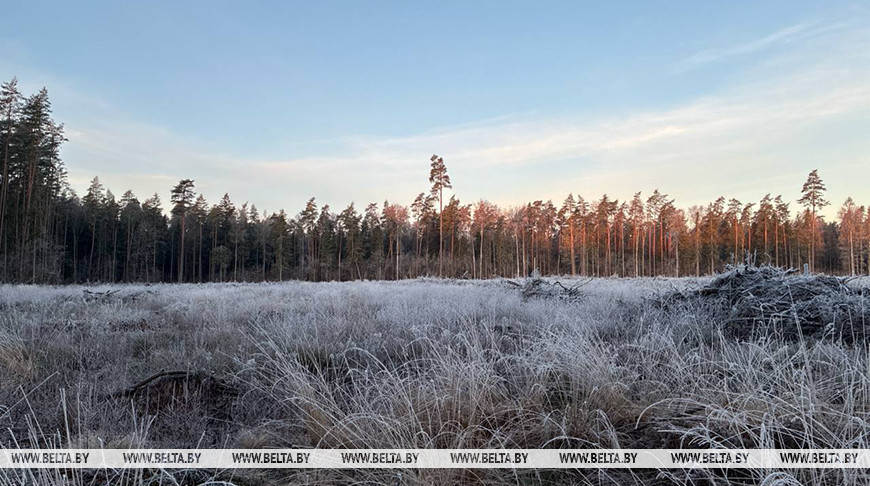 В Беларуси объявлено штормовое предупреждение на 24 апреля из-за заморозков