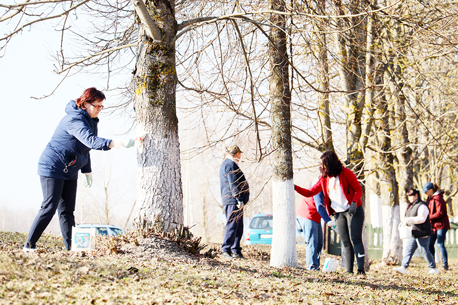 18 апреля 2026 года в Беларуси пройдёт республиканский субботник