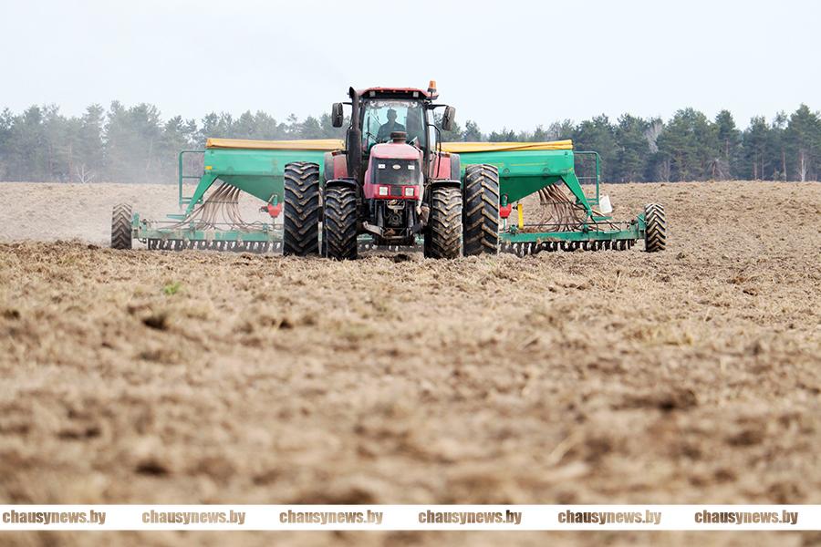 Кто в передовиках на весенне-полевых работах в Чаусском районе