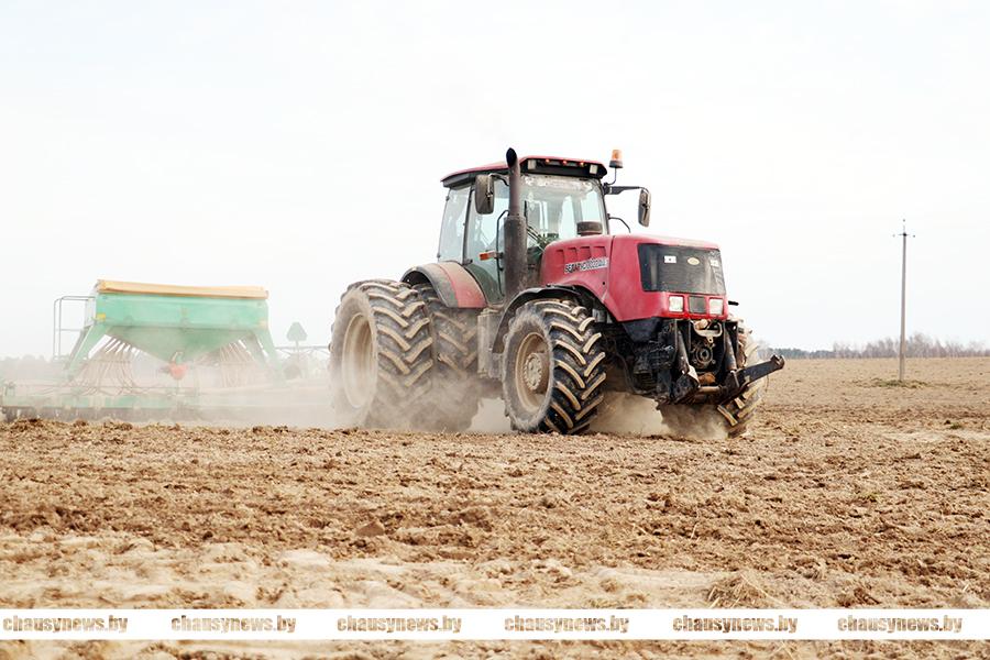 Узнали, как идут полевые работы в Чаусском районе