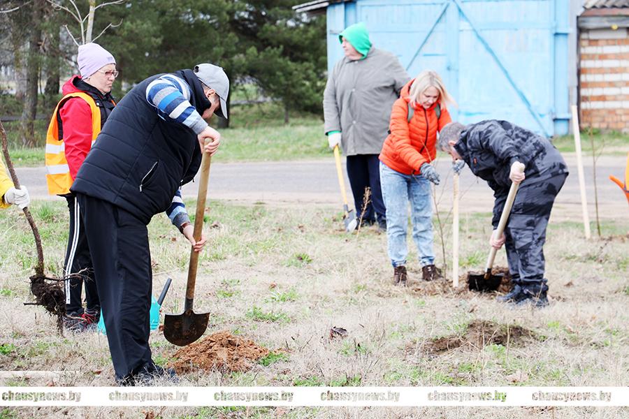 В рамках республиканского субботника на микрорайоне Сушильный в Чаусах появился новый парк