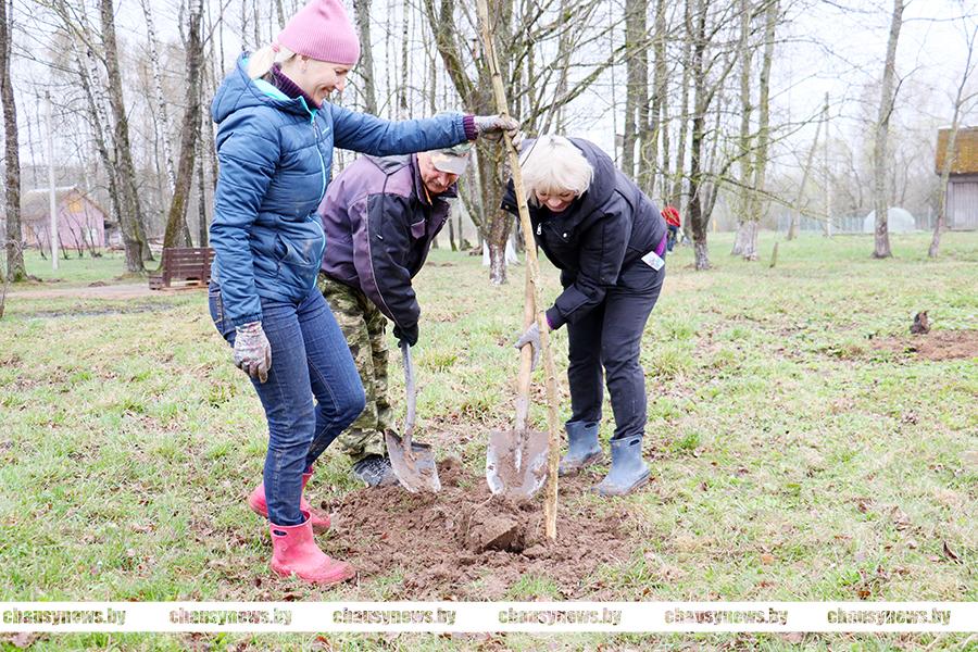 Жители села в Чаусском районе трудятся на республиканском субботнике