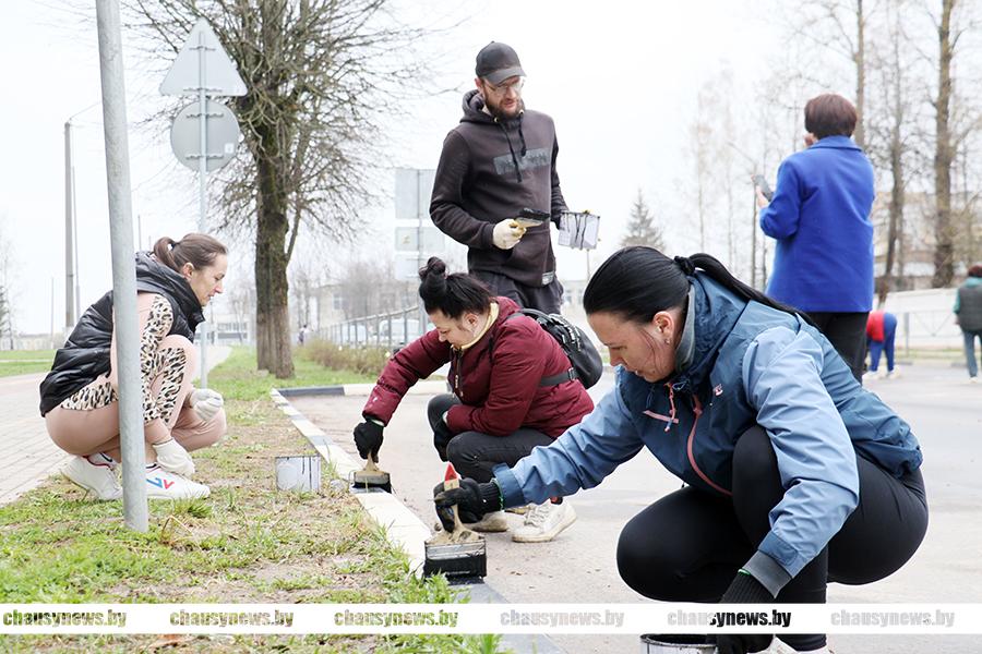 Трудовые коллективы Чаус трудятся на субботнике