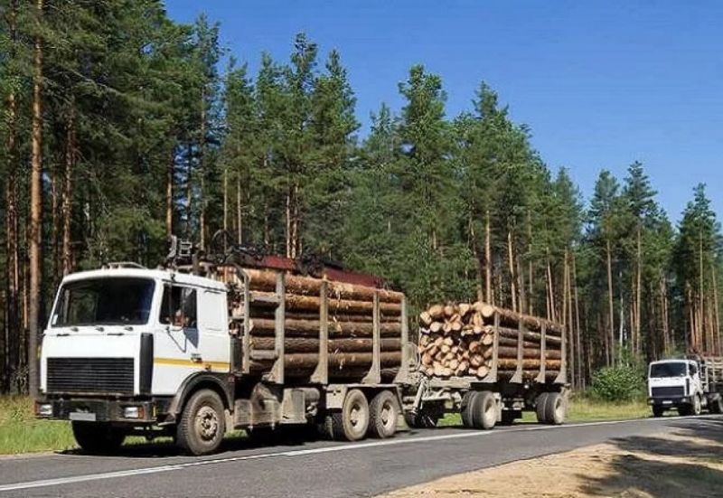 В Чаусском районе ГАИ усилит контроль за грузоперевозками