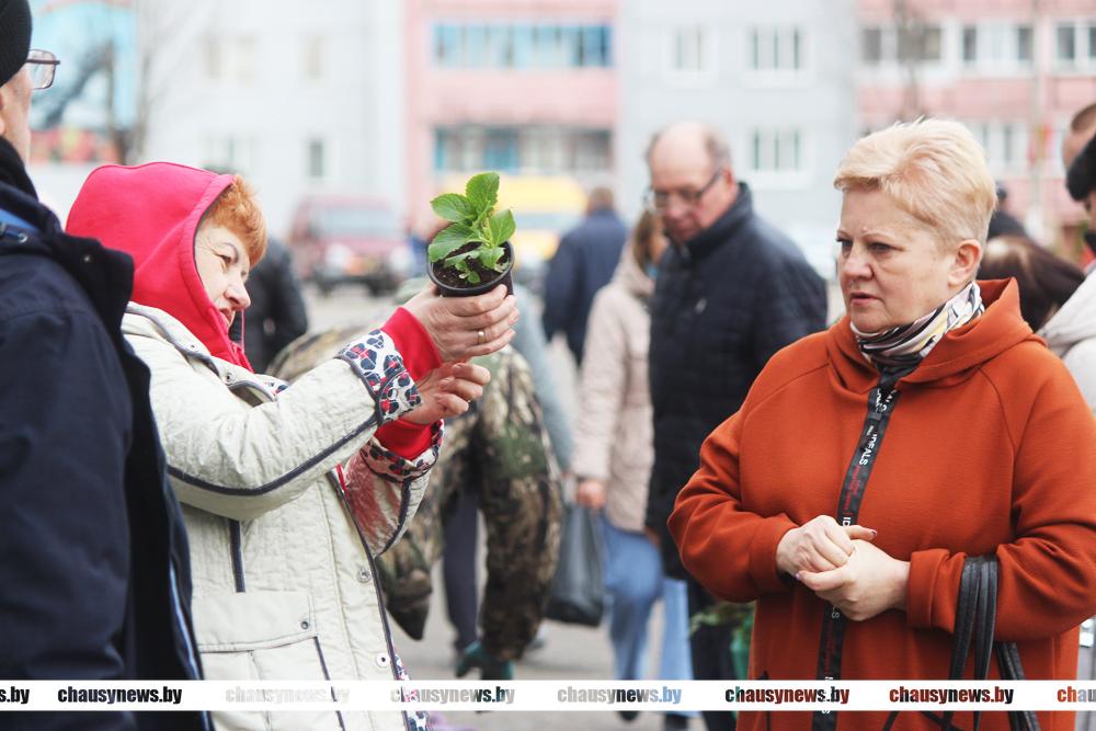 Успейте на сельскохозяйственную ярмарку в Чаусах