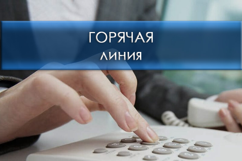 Есть вопросы по организации летней оздоровительной кампании — обращайтесь на тематическую горячую линию