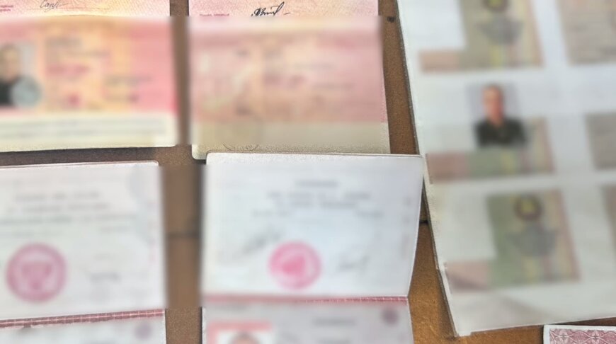 Фигурантов банды серых риелторов задержали правоохранители Беларуси и России