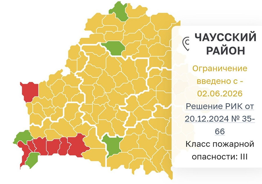 В Беларуси действуют запреты и ограничения на посещение лесов. Что ждёт нарушителей?