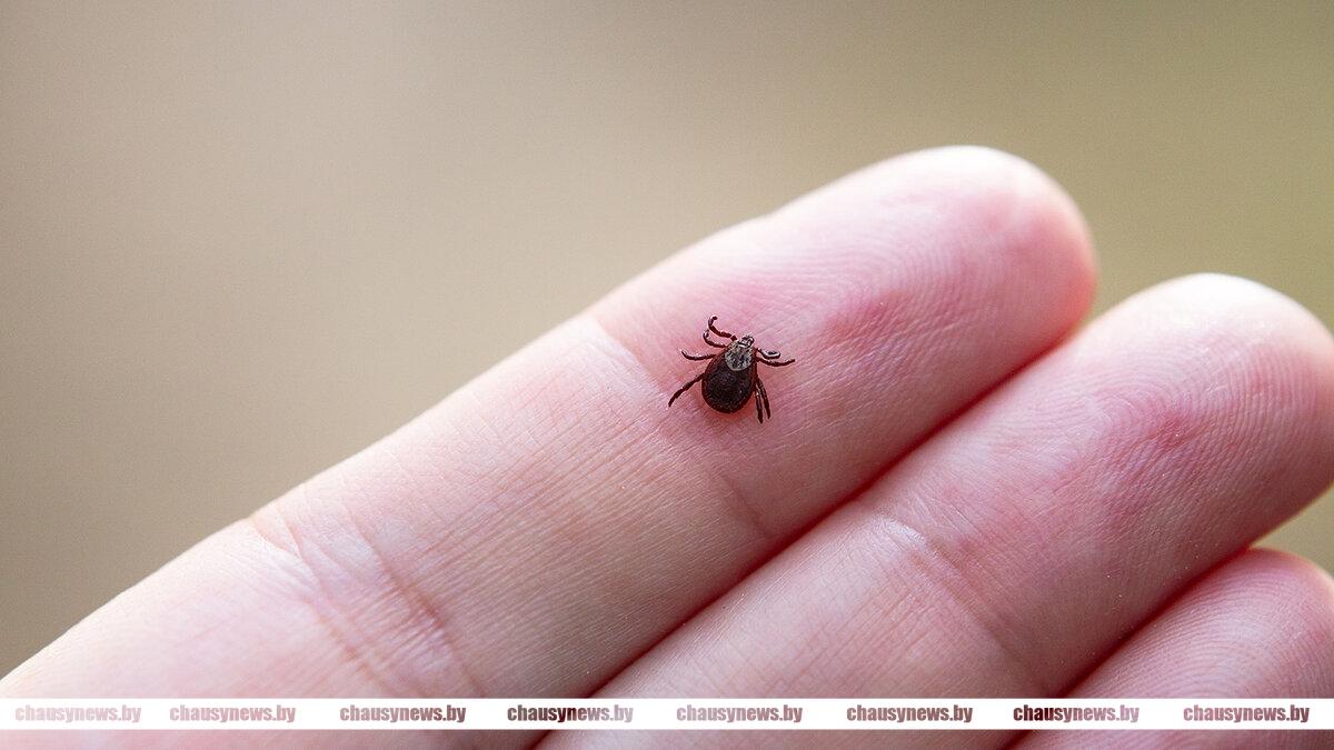 Как защитить себя и своих близких, рассказали в Чаусской санстанции