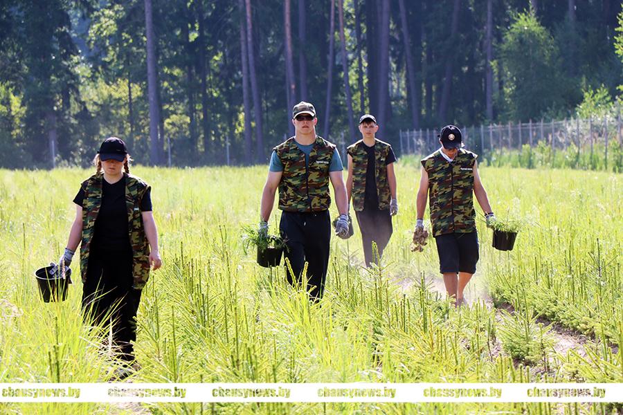 Посмотрели, как работает студотряд «Лесной дозор» в лесном питомнике Чаусского лесхоза