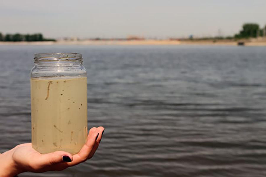 Несколько населённых пунктов в Польше остались без чистой воды из-за кишечной палочки. Но власти заняты другими «проблемами»