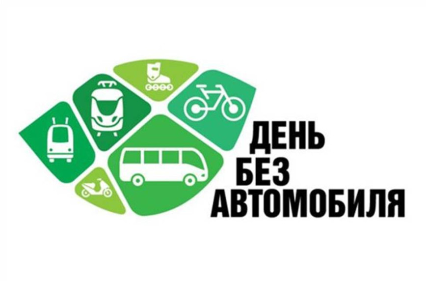 Сотрудники Чаусского ОГАИ призывают водителей 22 сентября отказаться от автомобилей